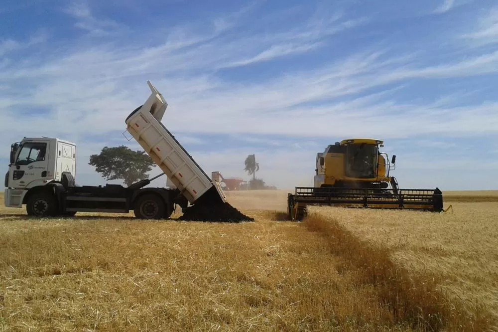 Produtores celebram produtividade e menor custo com adubo distribuído pela Sanepar Foto: Sanepar