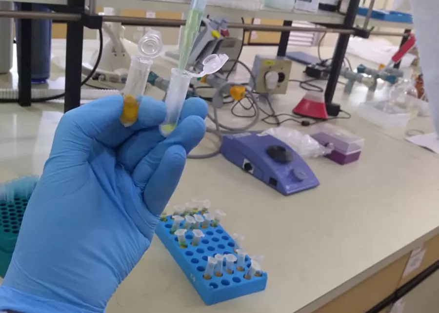 Foto: Gabriela Almeida