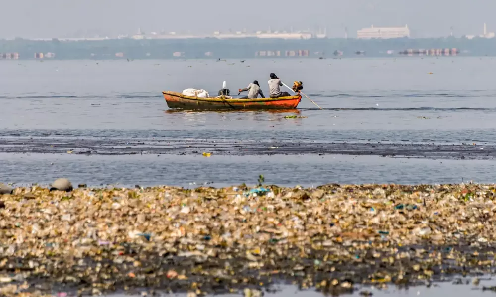  Rodrigo Campanário/Divulgação