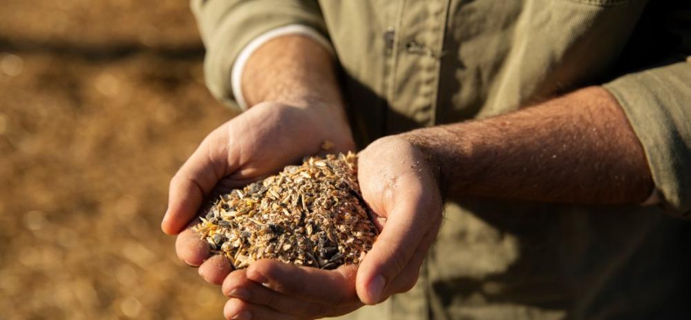 (Foto: Divulgação)