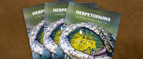 Capa do guia impresso. Foto: Felipe Veronez/EIS