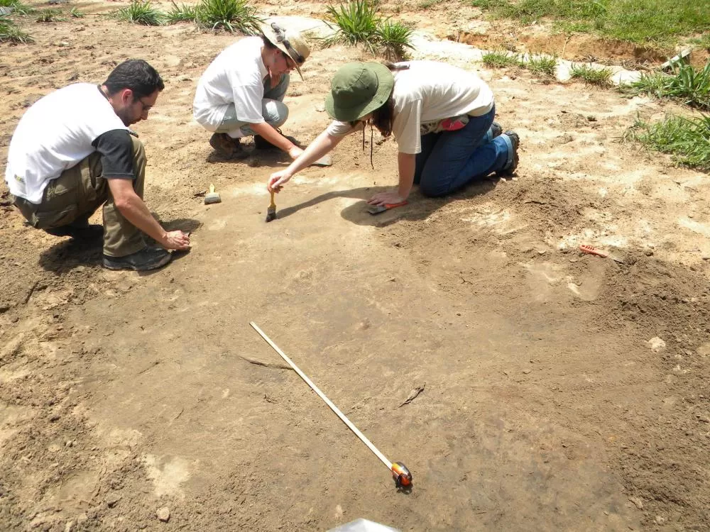 Crédito: Divulgação/Copel