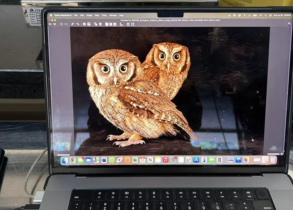 Crédito das fotos: Divulgação