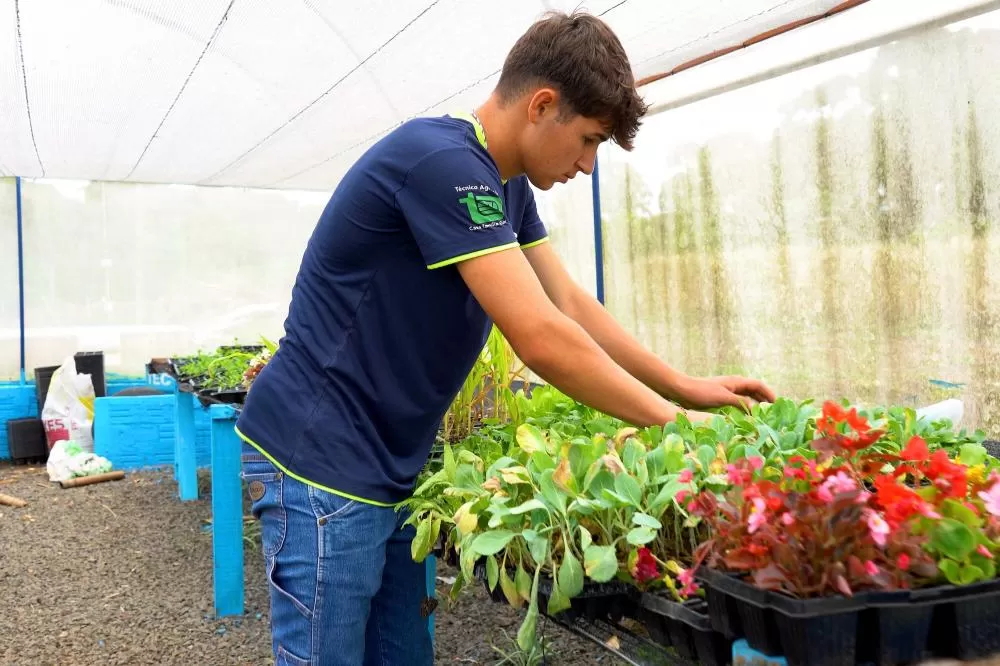 Vinicius Stukowski Camargo, de 17 anos, estuda técnico em Agropecuária no Centro Estadual de Educação Profissional Agrícola de São Mateus do Sul Foto: Ricardo Ribeiro/AEN