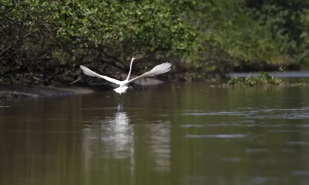 Fernando Frazão/Agência Brasil
