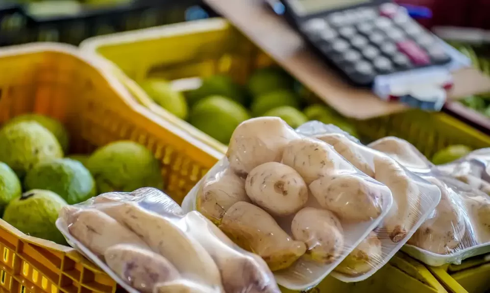  Rafa Neddermeyer/Agência Brasil