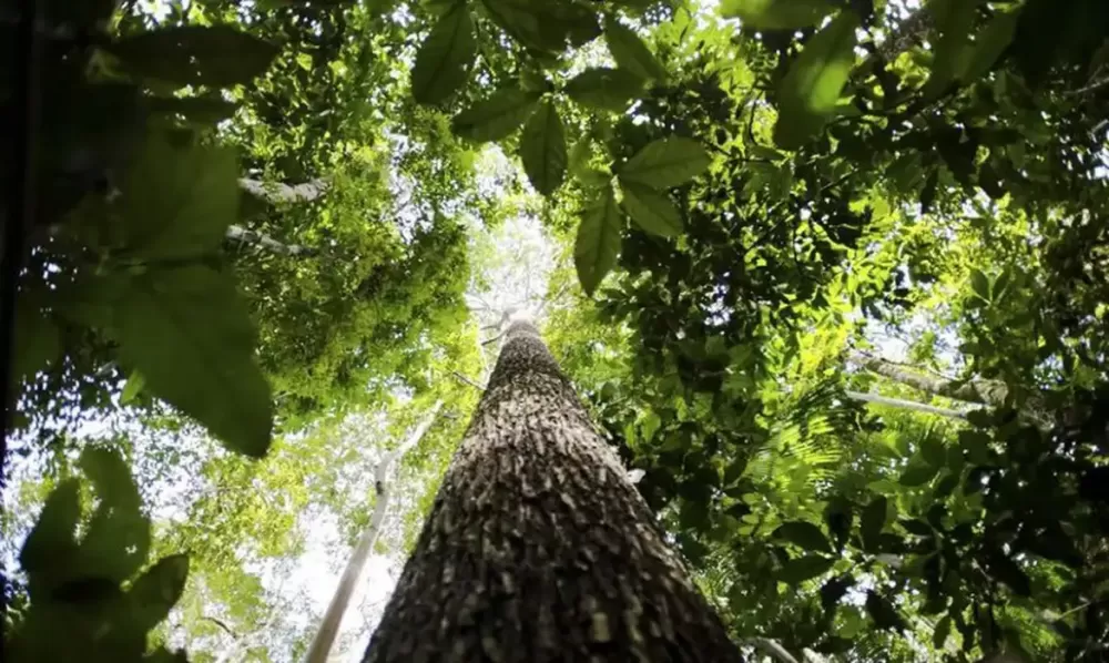 © Marcelo Camargo/Agência Brasil
