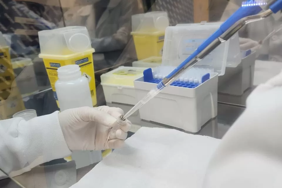 Saúde de precisão: Estado investirá R$ 10,9 milhões para estudar genoma de paranaenses