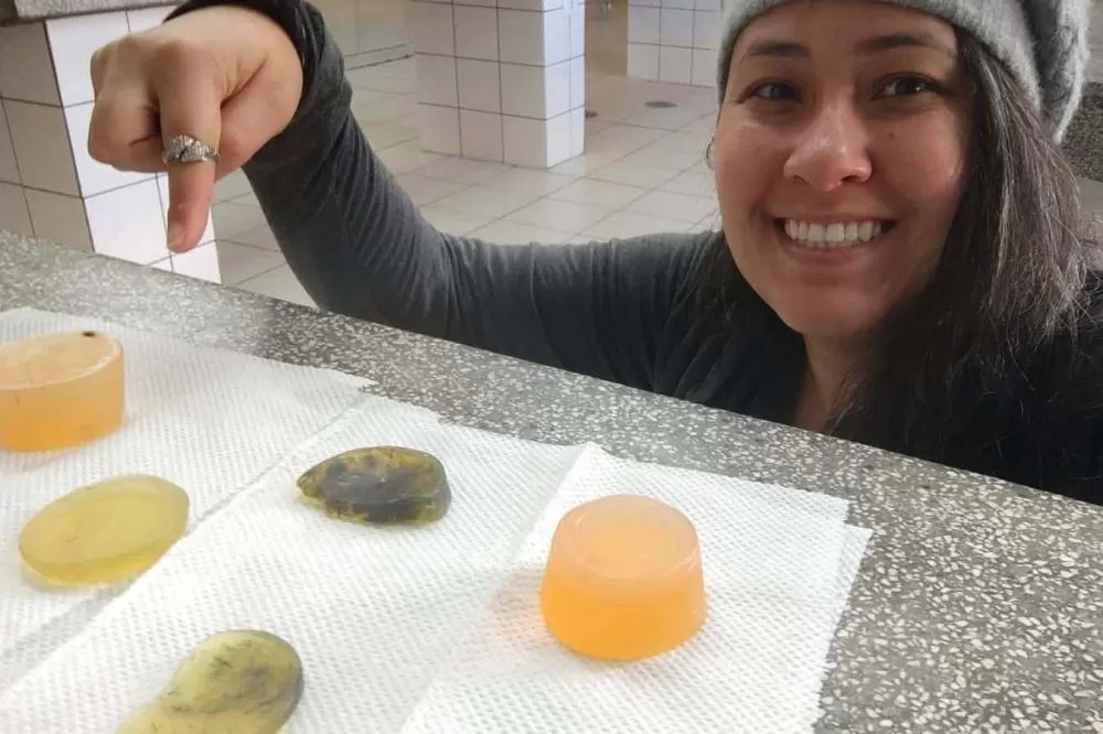 Alunos do Paraná chegam à semifinal de competição com projeto de sabonete antipulgas Foto: SEED