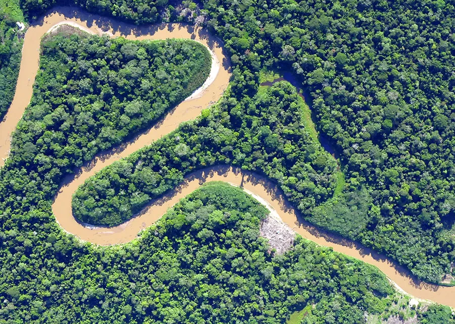 Estudo aponta que a determinação política é chave para conter o desmatamento no Brasil e na Indonésia