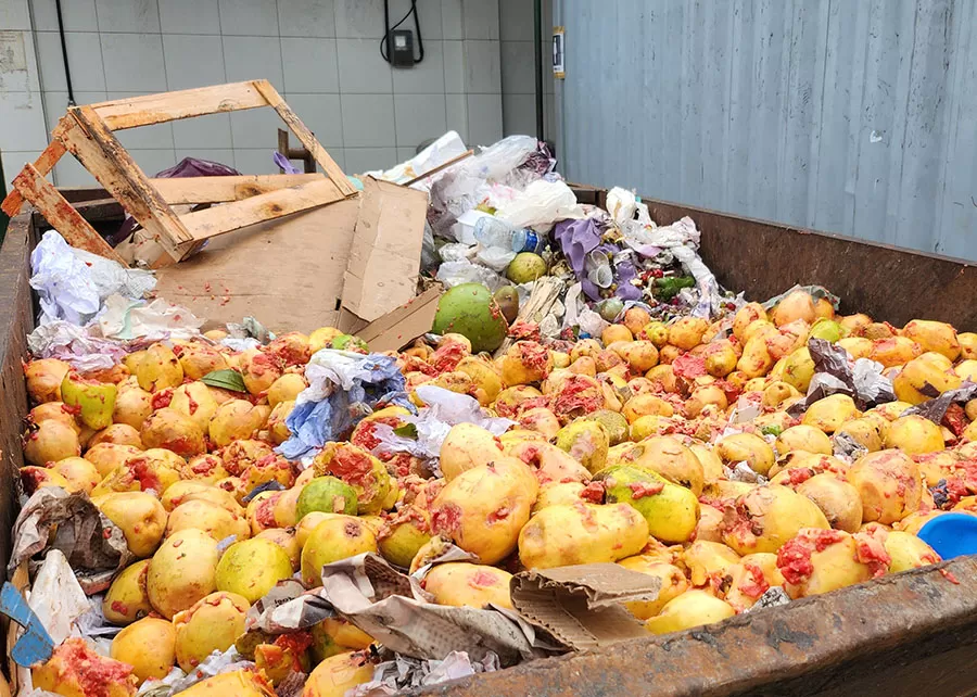 O modelo permite aproveitar integralmente frutas e hortaliças impróprias para o consumo humano, resultado das perdas durante o transporte e armazenamento