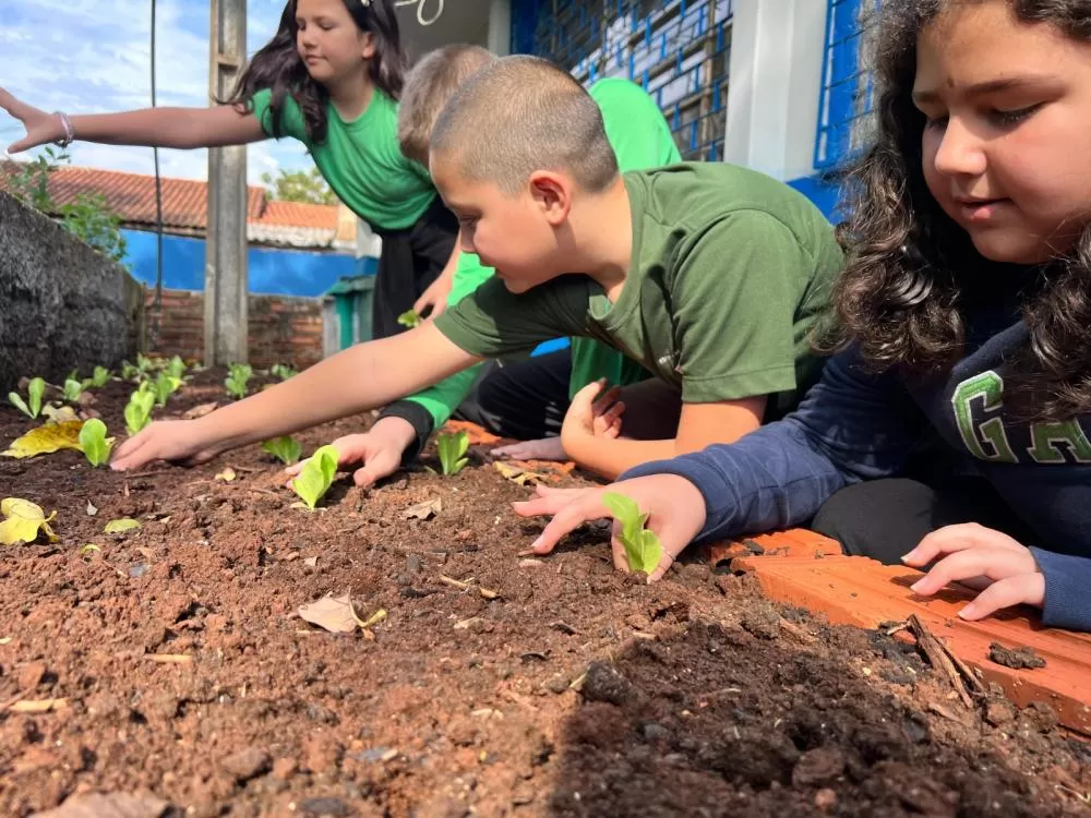 Horta Escolar: Semeando Conhecimento e Sustentabilidade em Foz do Iguaçu