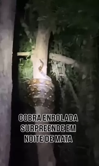 Frame do vídeo: com a informação: Rádio Amizade de Foz