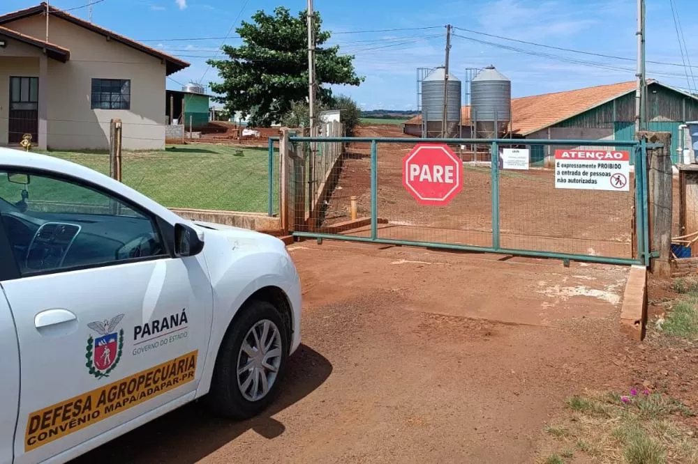 Adapar promove força-tarefa para garantir biosseguridade em estabelecimentos avícolas Foto: Adapar