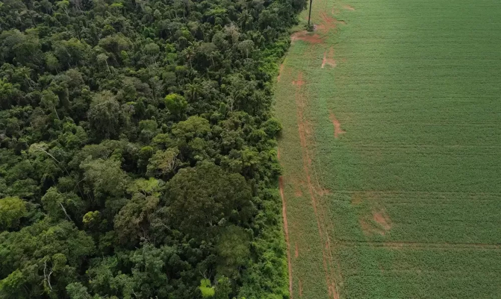  Fernando Frazão/Agência Brasil