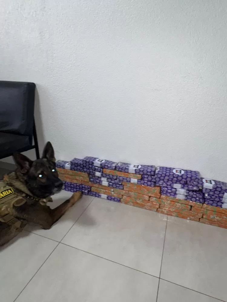 Polícia Militar do Paraná 