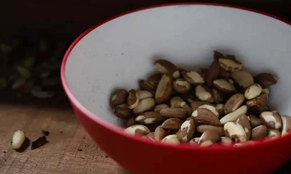  Fernando Frazão/Agência Brasil