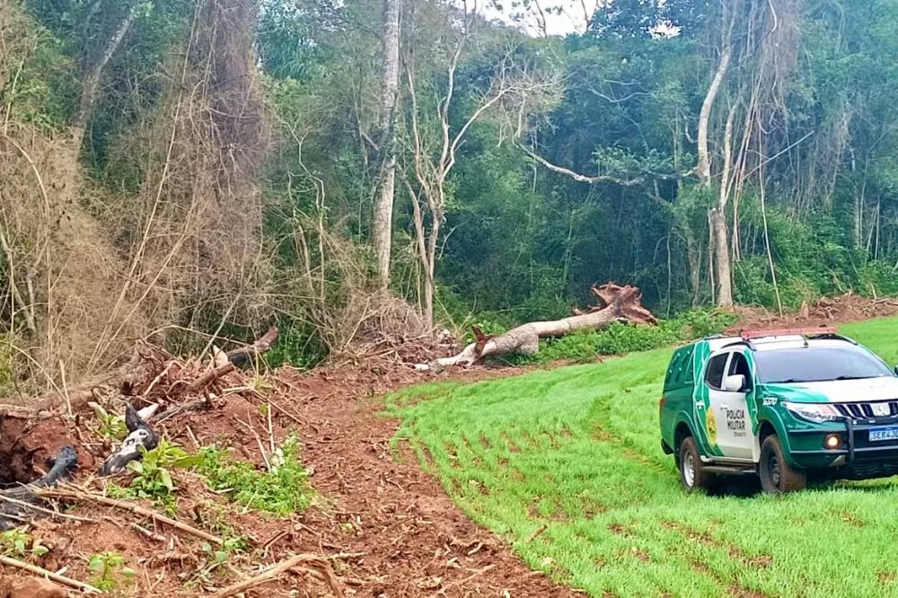 Operação Mata Atlântica em Pé: PMPR aplica mais de R$ 19 milhões em multas Foto: PMPR