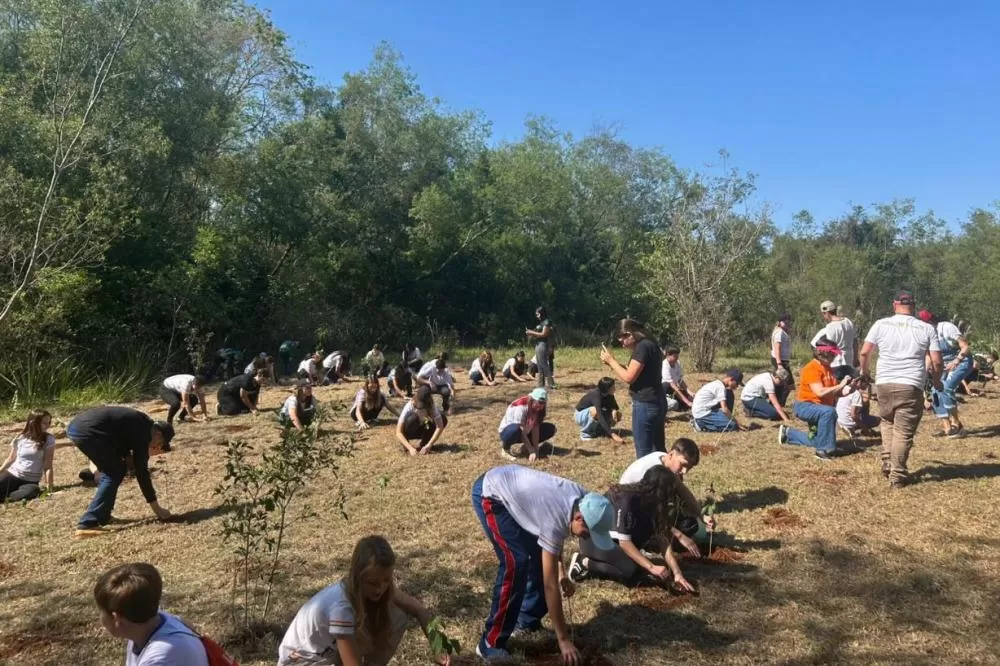 Brinquedo ou roupa por mudas nativas: IAT lança campanha para o Dia das Crianças