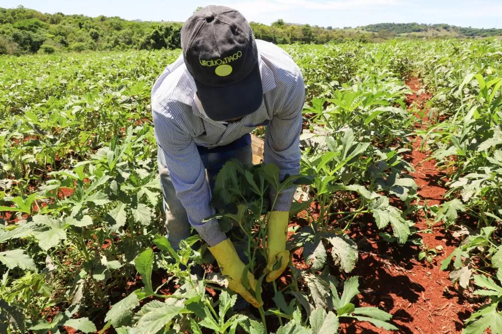 Painel Agropecuária Paranaense amplia divulgação sobre crescimento da produção Foto: Ari Dias/AEN