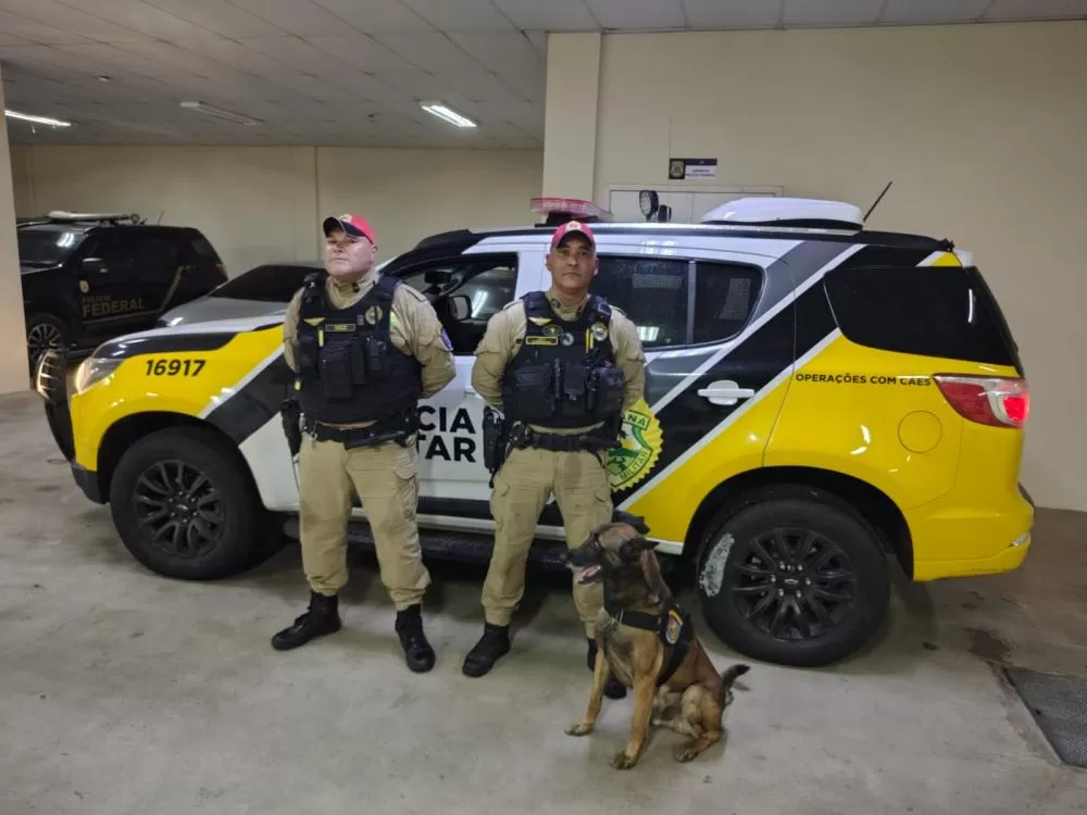  POLÍCIA MILITAR DO PARANÁ