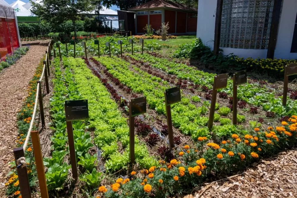 Fotos: William Brisida/Itaipu Binacional