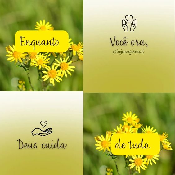 (Foto: Divulgação)