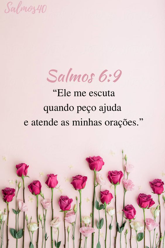 (Foto: Divulgação)