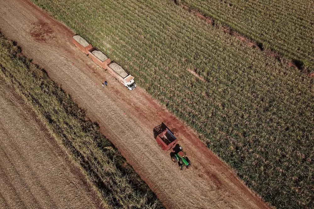 Paraná cresce três vezes acima da média nacional em agosto, aponta Banco Central Foto: José Fernando Ogura/Arquivo AEN