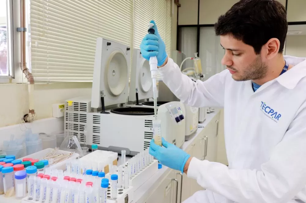 Alimentação escolar: controle rigoroso garante cardápios nutritivos e saudáveis no Paraná