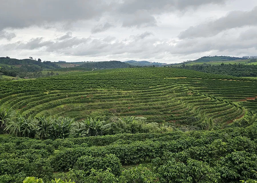 Foto: Taya Parreiras