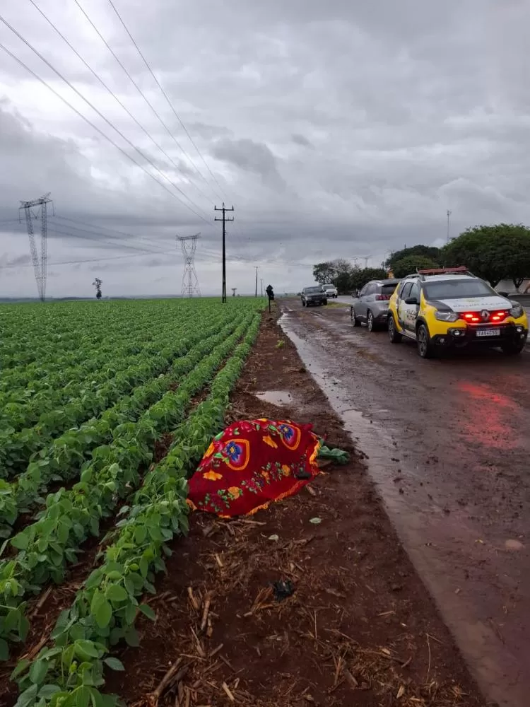 Polícia Militar do Paraná