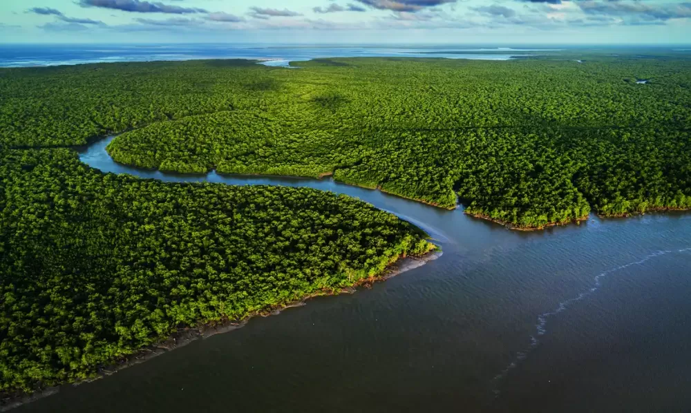 Enrico Marone/Divulgação