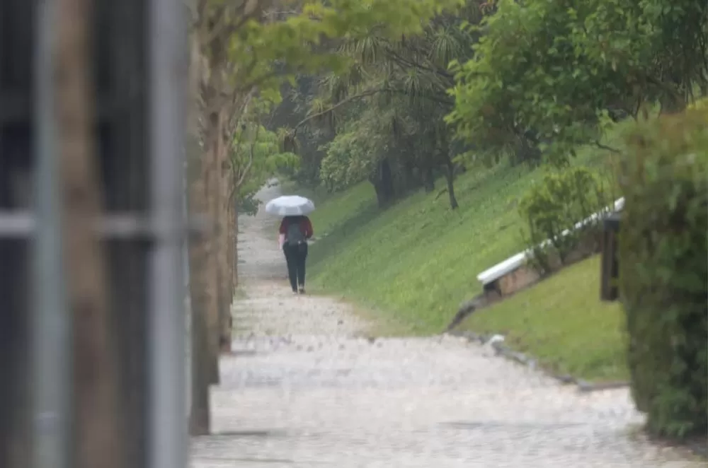 Foto: Geraldo Bubniak/AEN