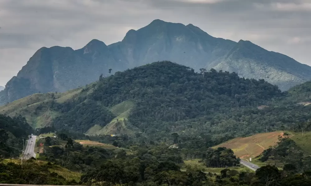 Rafa Neddermeyer/Agência Brasil