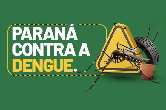 Paraná tem redução de casos e mortes por dengue maior do que a média nacional em 2025