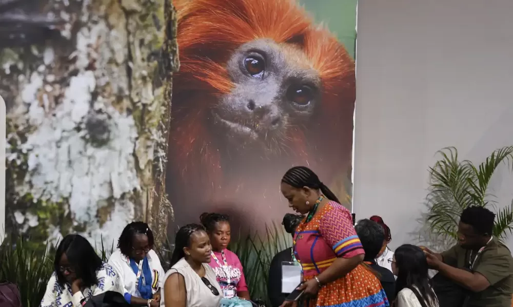 Tânia Rêgo/Agência Brasil