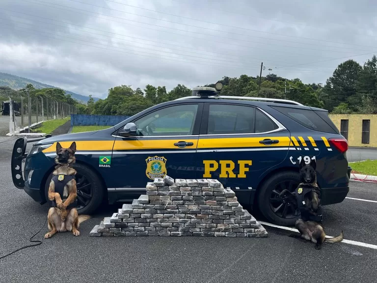 PRF apreende 140 quilos de cocaína na BR-376, em Tijucas do Sul (PR)