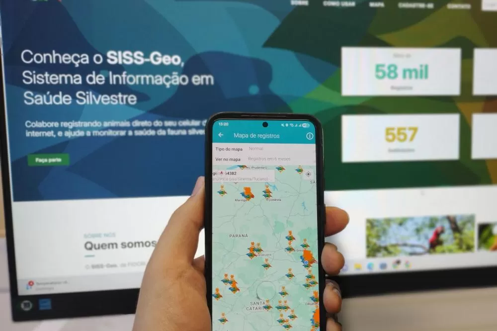 Inteligência georreferenciada mantém Paraná livre de casos locais de febre amarela Foto: SESA