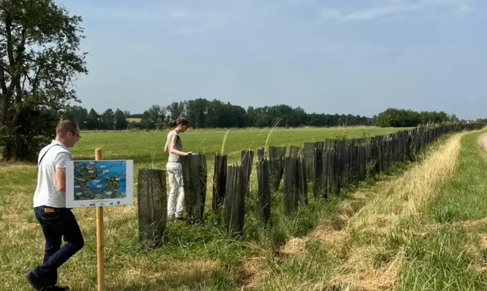 Floresta em pé: lavoura e árvores reduzem impacto de mudança climática