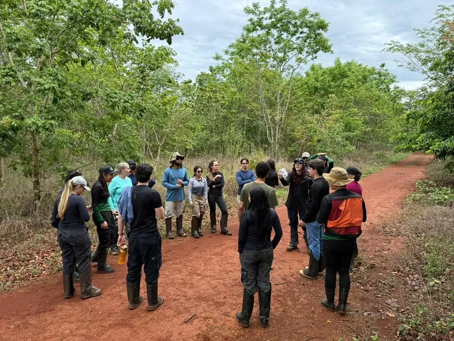 Estudantes de Engenharia Florestal da UFG visitam modelos de recomposição ambiental em fazenda no DF