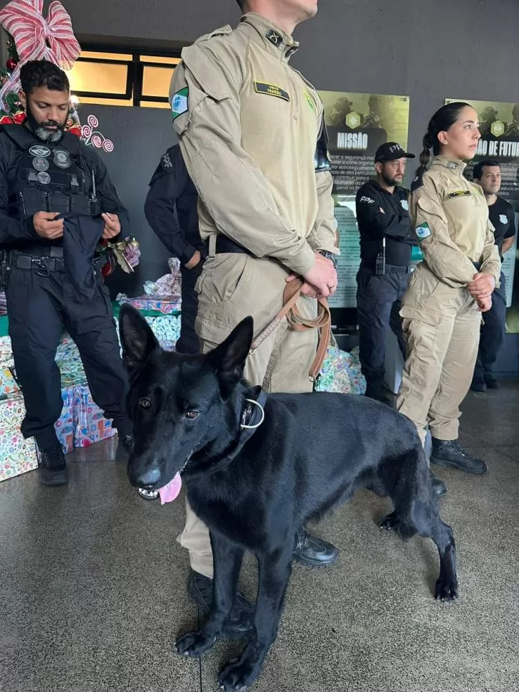 Polícia Militar do Paraná