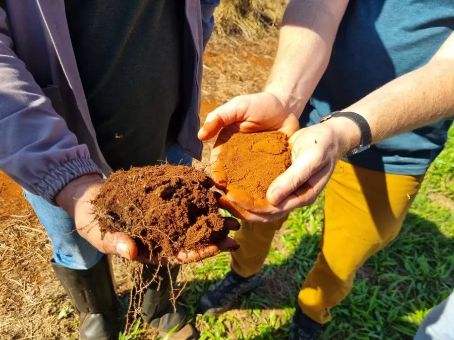Solo doente (direita); solo saudável (esq)