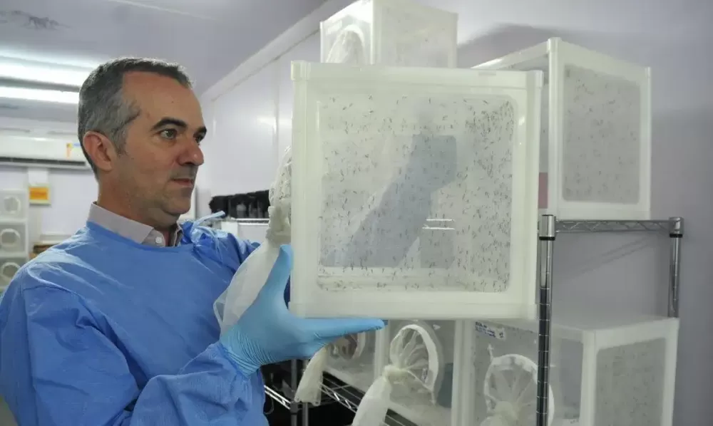 Peter Ilicciev/WMP Brasil/Fiocruz