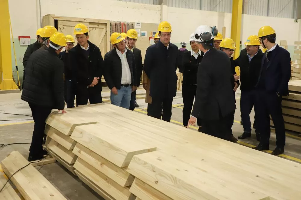 Paraná propõe compra de créditos tributários e redução de ICMS para auxiliar setor madeireiro