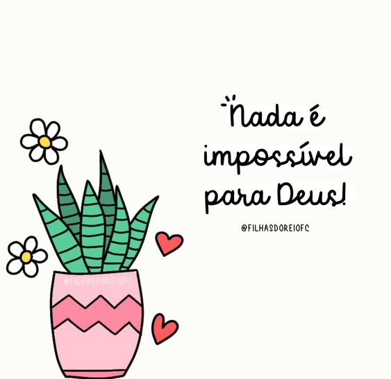 (Foto: Divulgação)