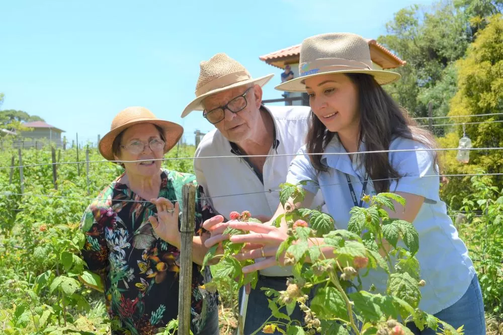 Governador sanciona reestruturação da carreira dos servidores do IDR-Paraná Foto: IDR