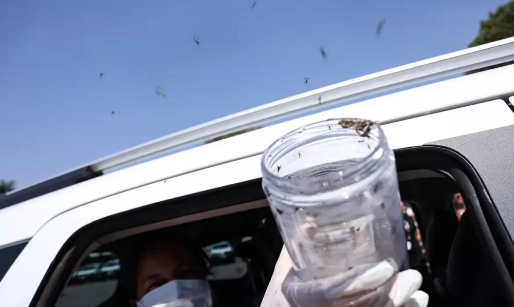  Marcelo Camargo/Agência Brasil