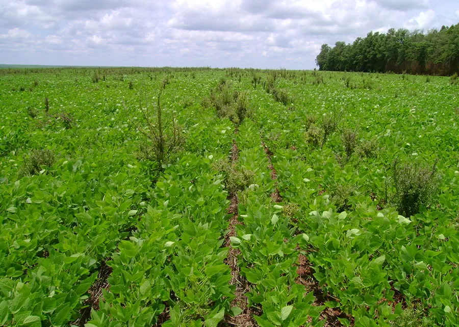 Foto: Fernando Adegas