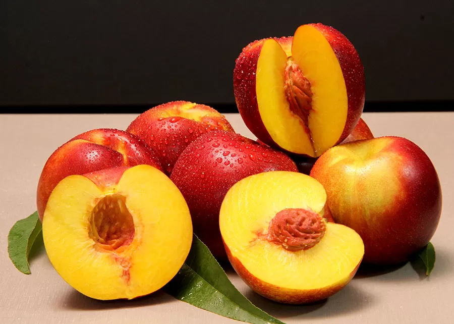 Foto: Paulo Lanzetta